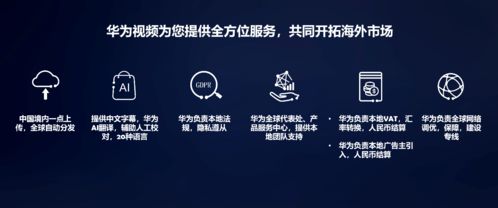 中国网络视听大会 华为视频徐晓林 扬帆出海,助力精品中文内容全球传播